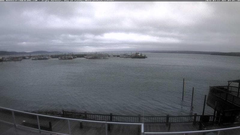 Digby Harbour