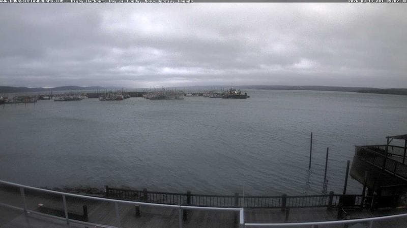 Digby Harbour