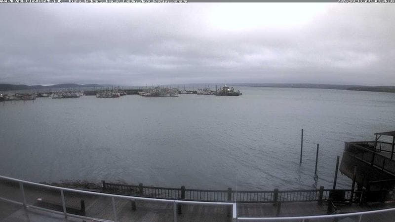 Digby Harbour