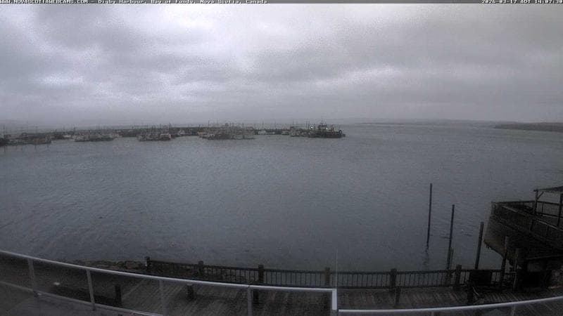 Digby Harbour