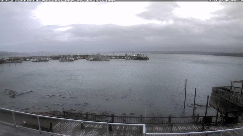 Digby Harbour
