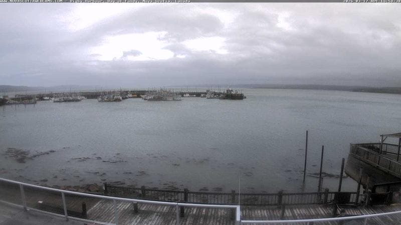 Digby Harbour