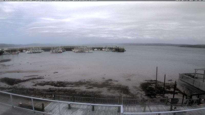 Digby Harbour
