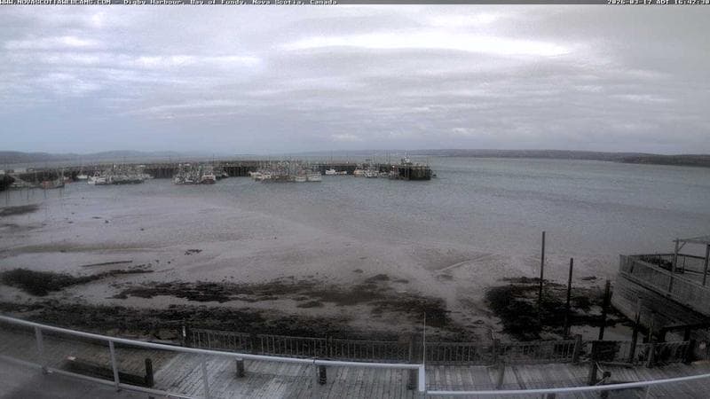 Digby Harbour