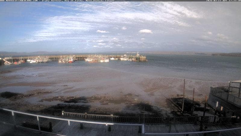 Digby Harbour