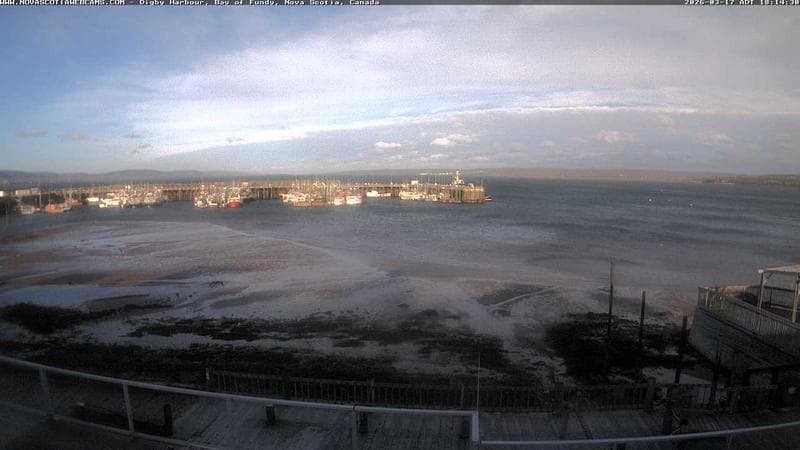 Digby Harbour