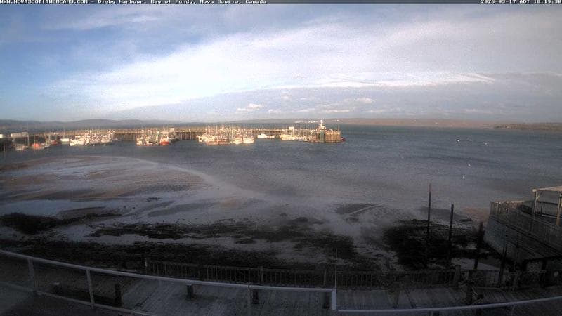 Digby Harbour