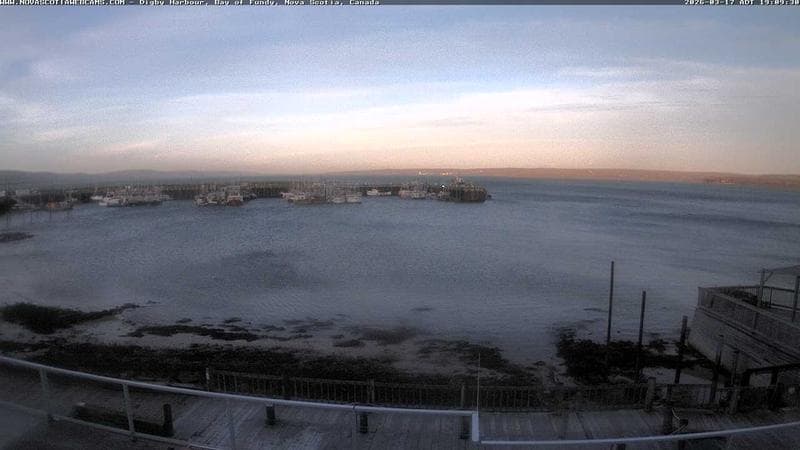 Digby Harbour