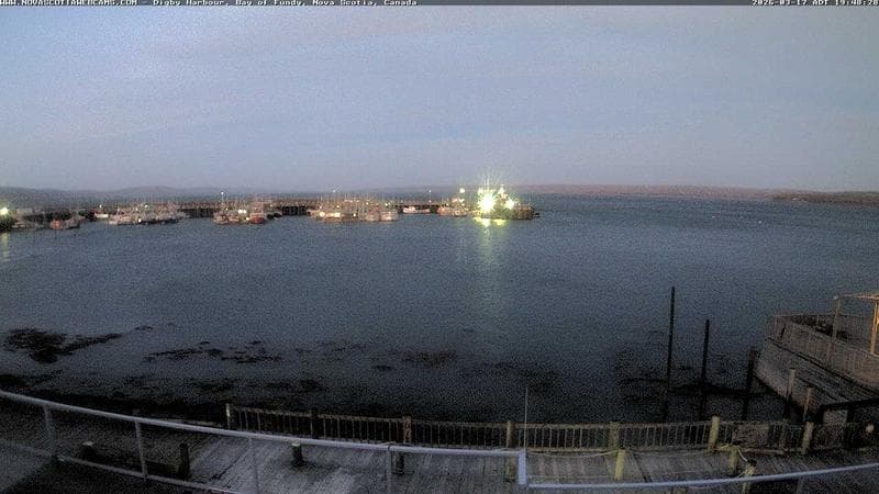 Digby Harbour