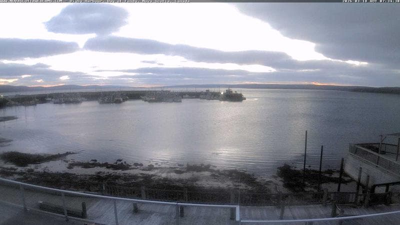 Digby Harbour