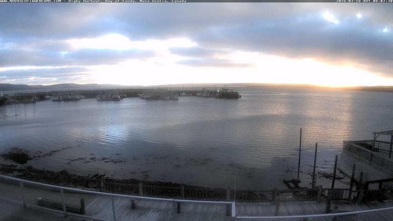 Digby Harbour