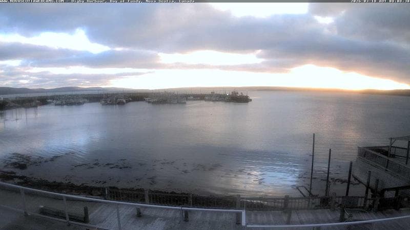 Digby Harbour