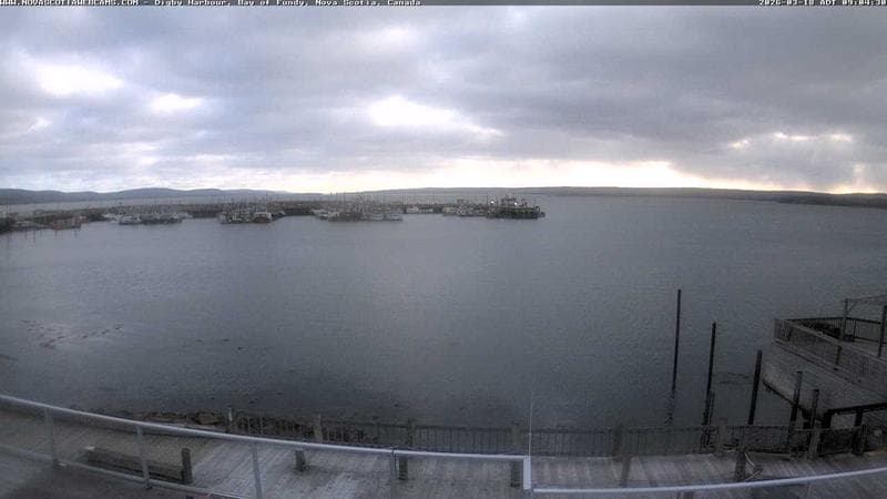 Digby Harbour