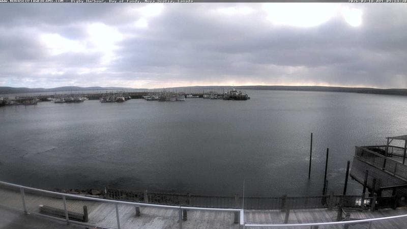 Digby Harbour