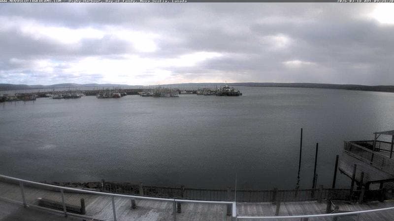 Digby Harbour
