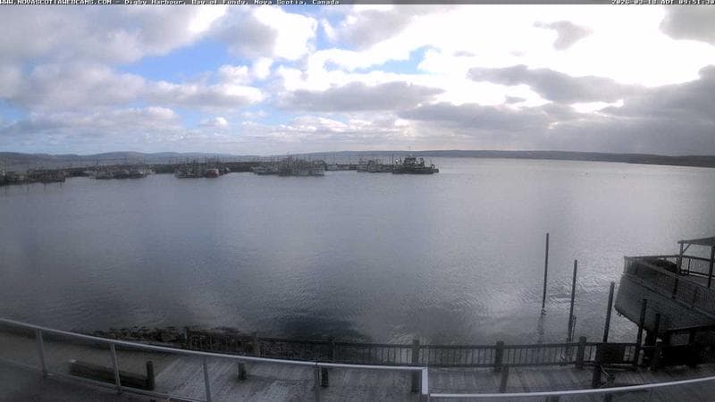 Digby Harbour