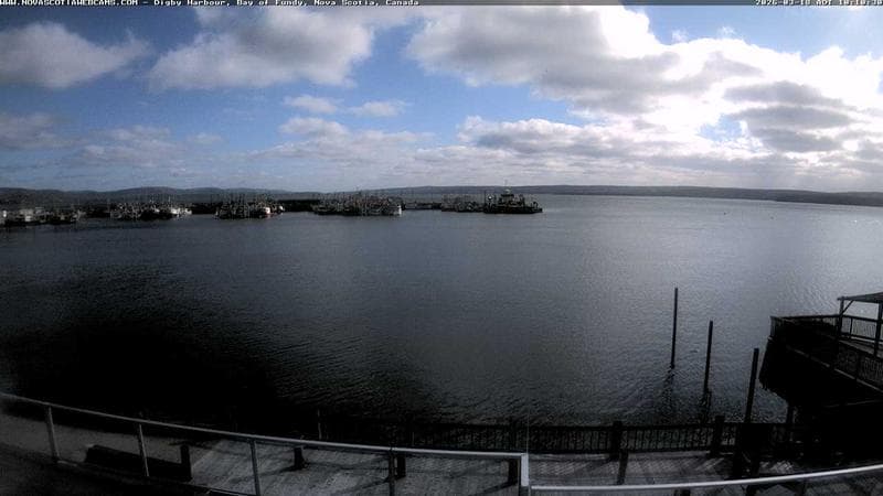 Digby Harbour
