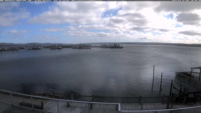 Digby Harbour