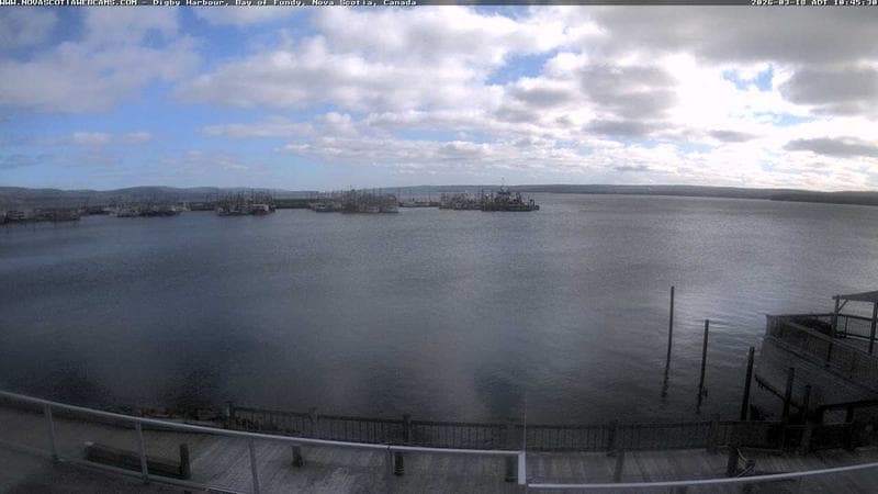 Digby Harbour