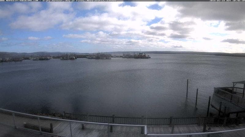 Digby Harbour