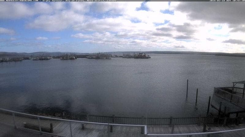 Digby Harbour
