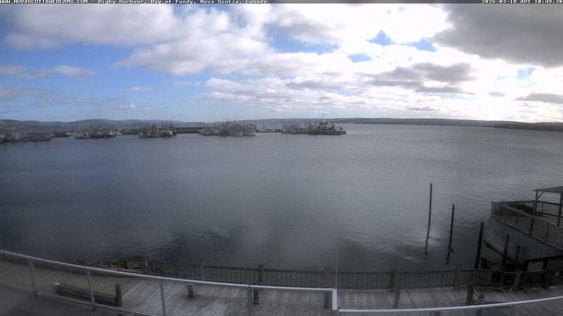 Digby Harbour