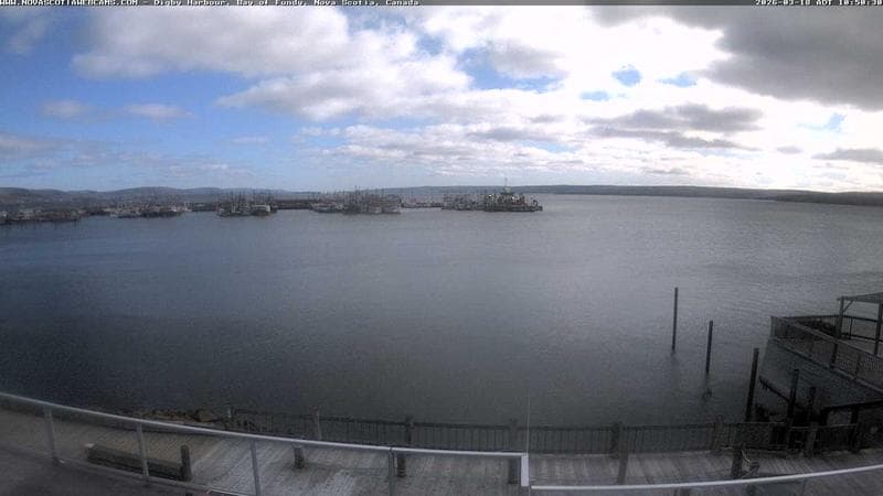 Digby Harbour