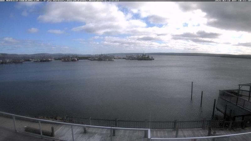 Digby Harbour