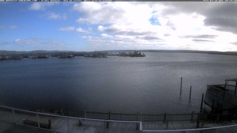 Digby Harbour