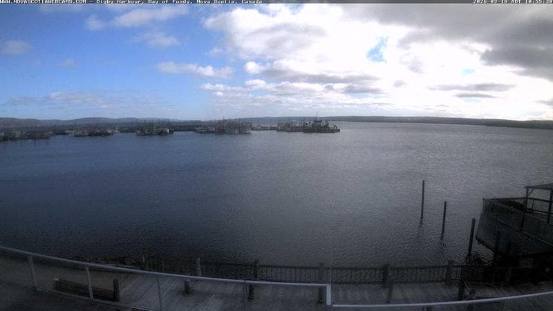 Digby Harbour
