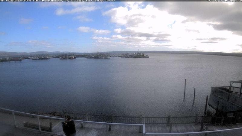 Digby Harbour