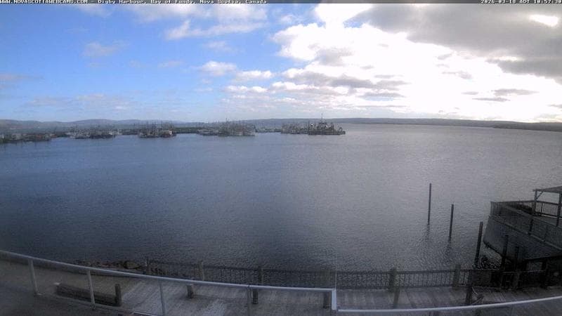 Digby Harbour