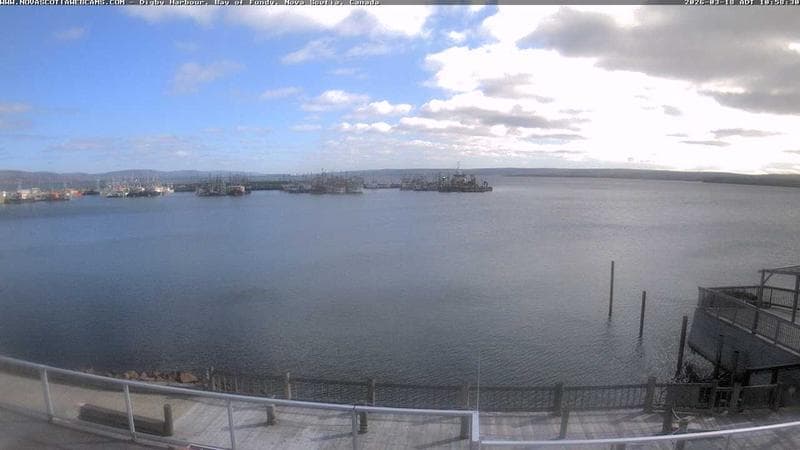 Digby Harbour