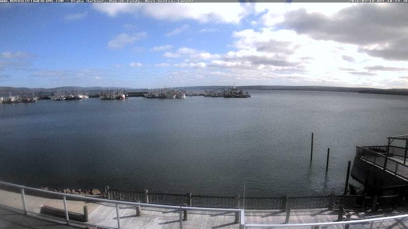 Digby Harbour