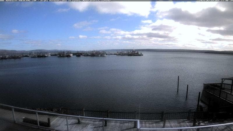 Digby Harbour
