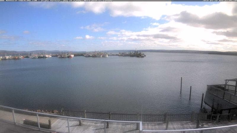 Digby Harbour