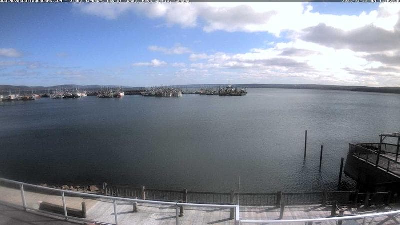 Digby Harbour
