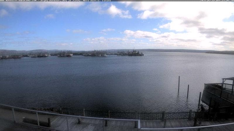 Digby Harbour