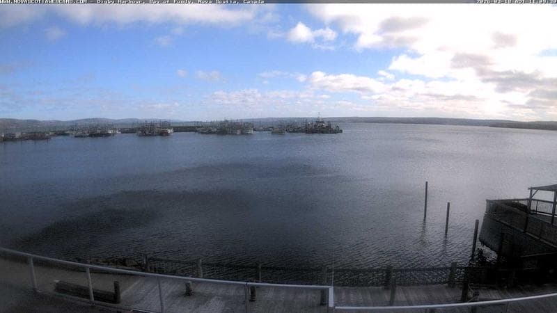 Digby Harbour