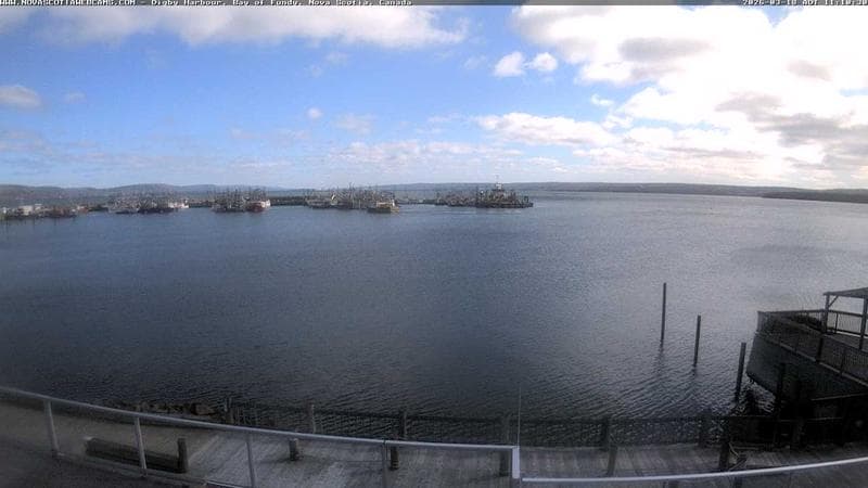 Digby Harbour