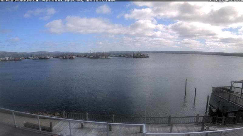 Digby Harbour