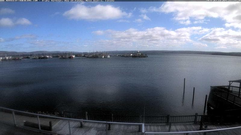 Digby Harbour