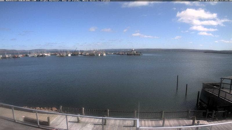Digby Harbour