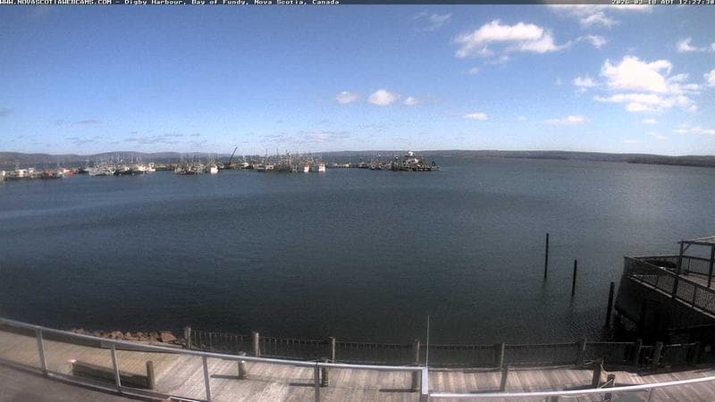 Digby Harbour
