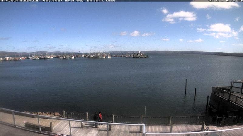 Digby Harbour