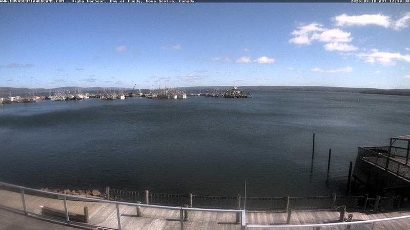 Digby Harbour