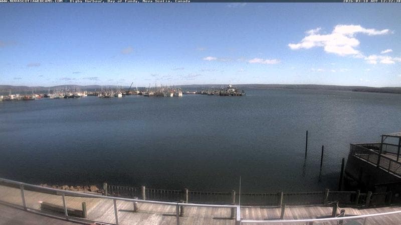 Digby Harbour