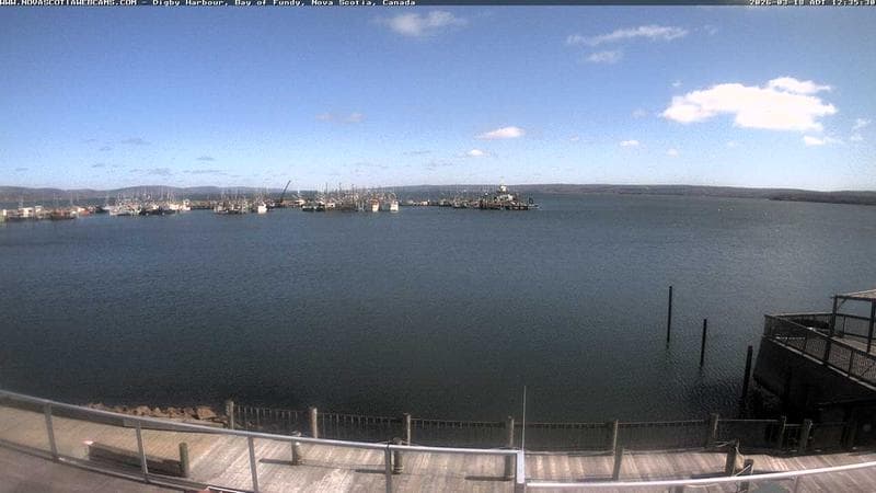 Digby Harbour
