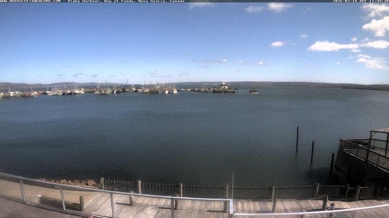 Digby Harbour