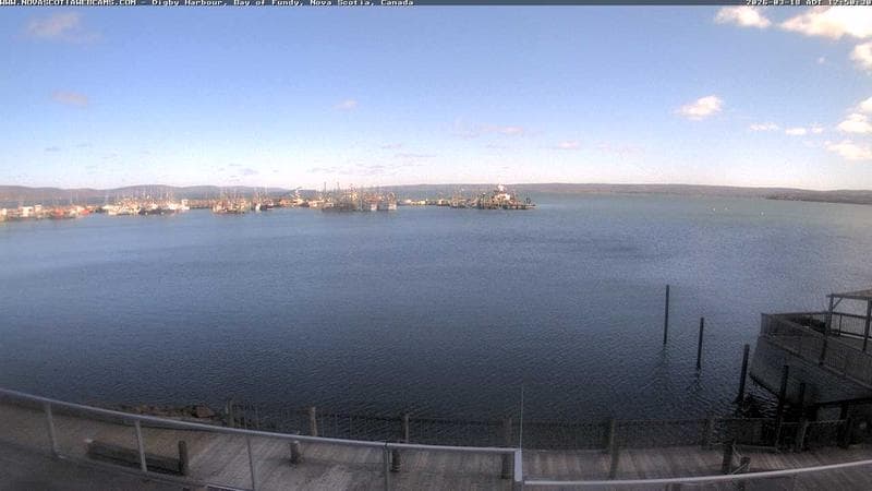 Digby Harbour